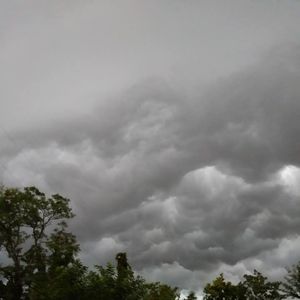 Meet your Posher, Cynthia